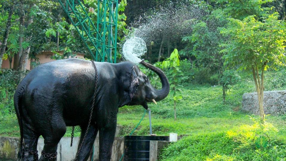 Вилла Swasthi Griha Aranmula Экстерьер фото